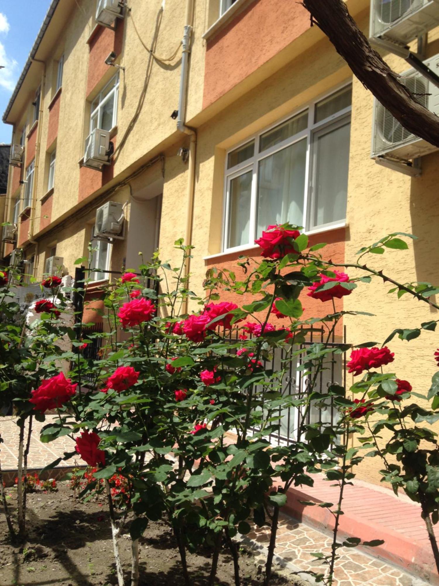Sultanahmet Deluxe Yilmaz Apart Istanbul Eksteriør bilde